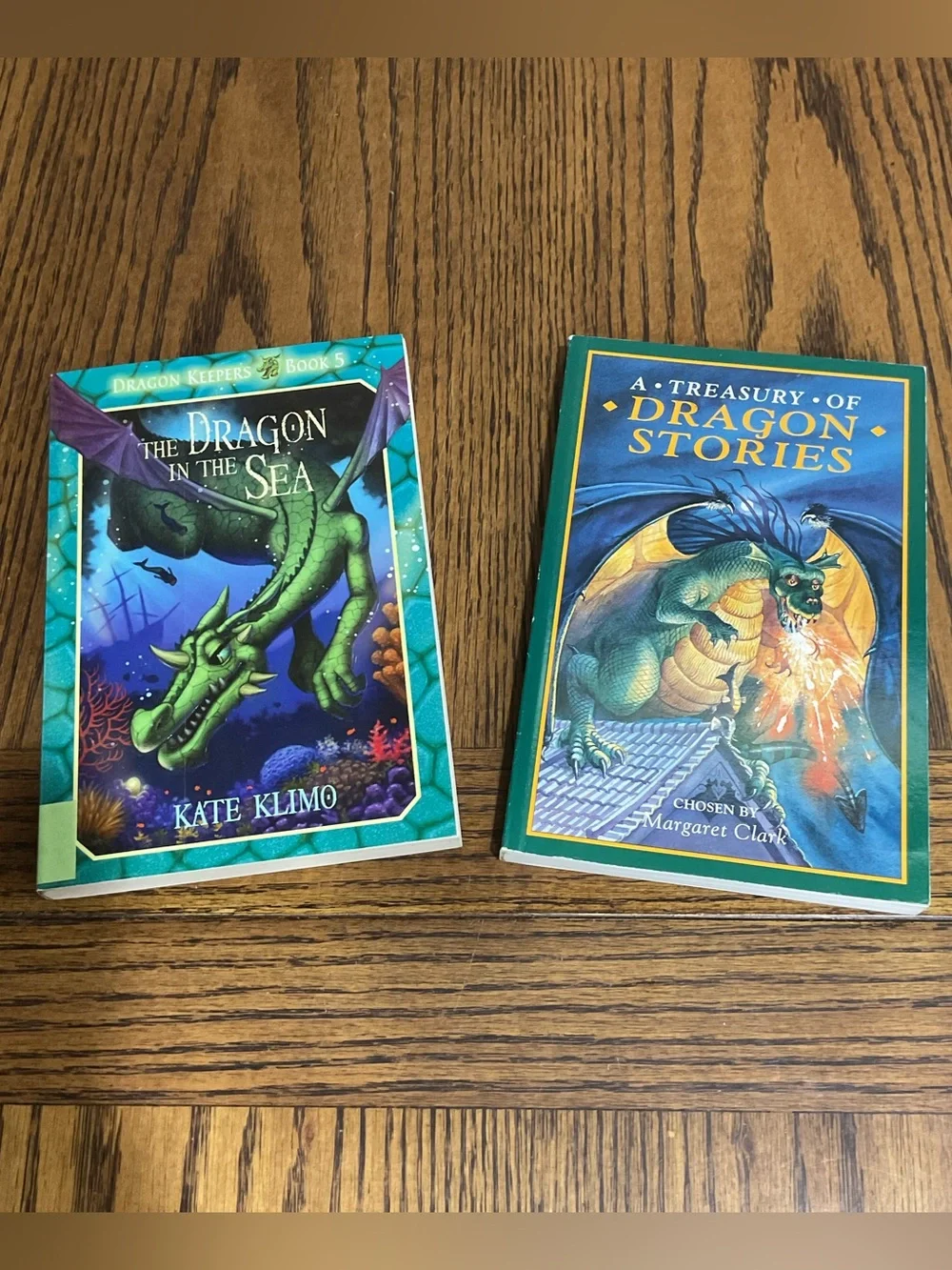 Dragon In the Sea & Dragon Stories Books 📚 Set